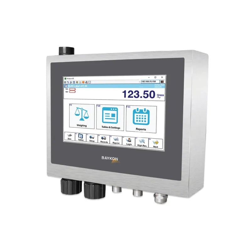 Baykon BX65B Weighing Terminal