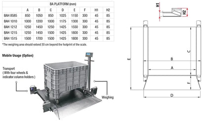 Baykon BA Low-Profile Floor Scales