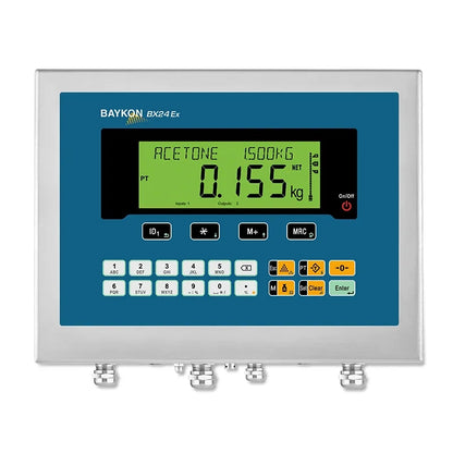 Baykon BX24 Ex2/22 Weeg Indicator
