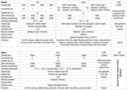 Baykon BWI-CSAX Crane Scale