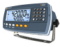 Rinstrum R400 Series - R420 ABS indicator