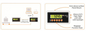 Rinstrum R300 series - R325